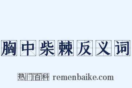 胸中柴棘反义词是什么意思的图片